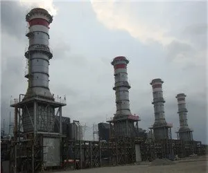 Amortisseur de diverteur pour le cycle simple